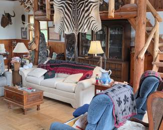 Zebra Pelt Rug Taxidermy, Sofa, Furniture, Curio Cabinet