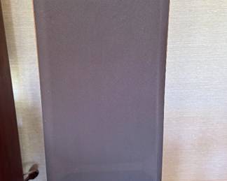 Icon Acoustics Parsec speakers.