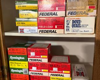 Some ammo 