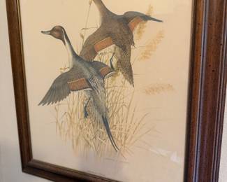 Framed artwork 