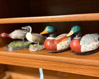 Cute duckies