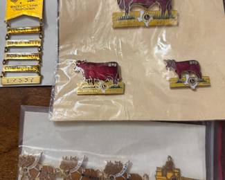 Lions club pins