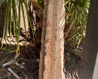 Concrete Obelisk Sculpture