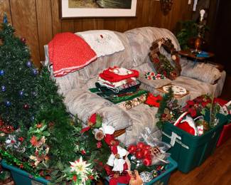 263Family Room