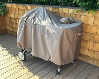 Grill - covered