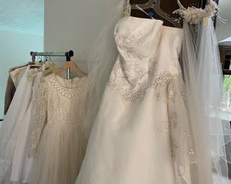 Wedding Dresses and Veils