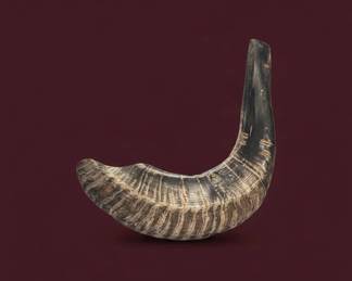 Kudu Shofar with Instruction Booklet and Pouch