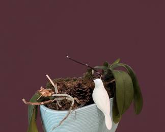 Decorative Orchid Pot with Ceramic Bird