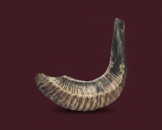 Kudu Shofar with Instruction Booklet and Pouch