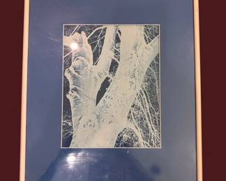 Framed Cyanotype Print of Tree Bark