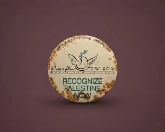 Middle East Peace Campaign Button Recognize Palestine Now