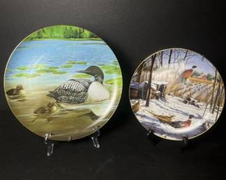 237 danburymintawinterrainbowpheasantp