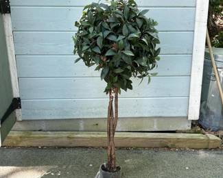 087 artificialtopiarytreewithrealwoodt