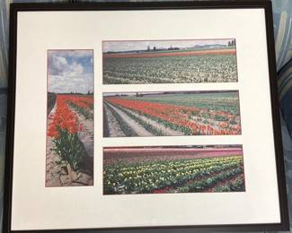 121 framedphotographicartprintsoftulip