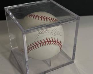 164 officialmlbautographedbaseballindis