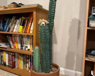 282 largefauxdecorativecactusplantinor