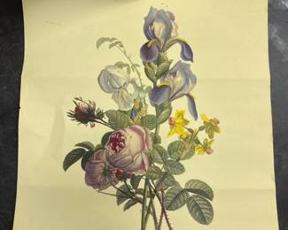 123 17x21irisrosesandnarcissusbotanica
