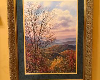 Framed Print 