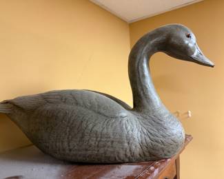 Decoy