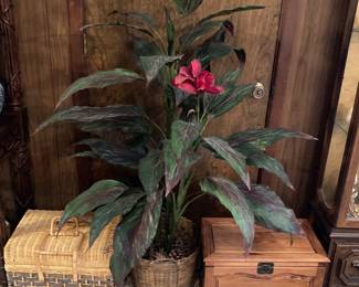 basket, foliage, small trunk
