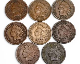 Eight Indian Head Pennies 24.24g Total