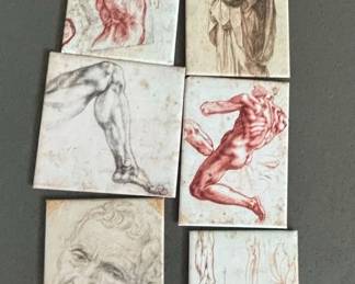 Set of Six Michelangelo Anatomical Study magnets
