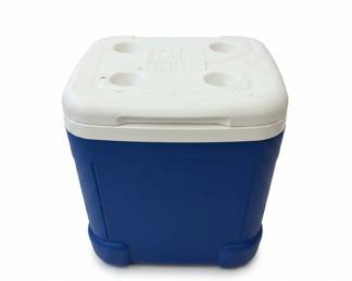 Igloo Ice Cube Cooler