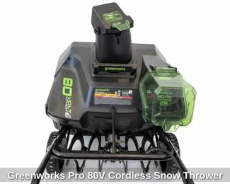 Greenworks Pro V Cordless Snow Thrower second image