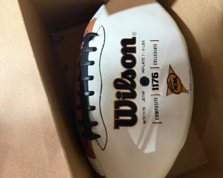 Wilson Football