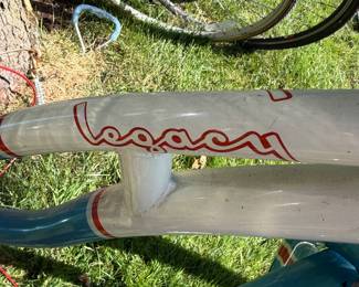 Schwinn Legacy bike baby blue