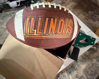 Illinois football