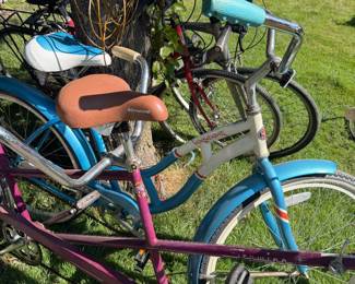 Schwin Tandem Bike Purple