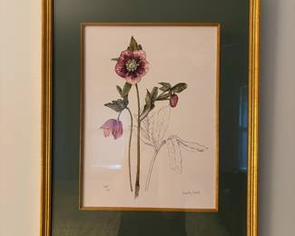 R12 - $30. Wendy Walsh signed & numbered Botanical Print #246/600. Measures 17.25" x 21.25"