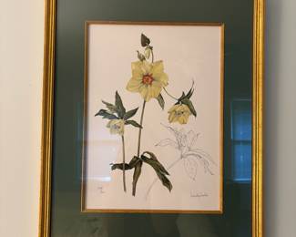 R13 - $30. Wendy Walsh signed & numbered Botanical Print #246/600. Measures 17.25" x 21.25"