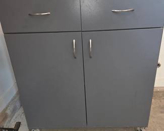 Storage cabinet on wheels