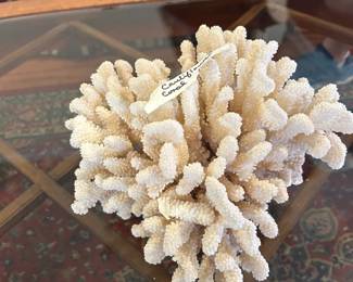 #032 Cauliflower Coral 10x10" $50.00