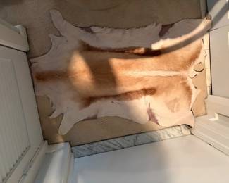Antelope Hide