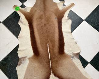 Antelope Hide Rug
