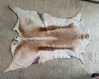 Antelope Hide rug