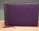 	Early Luftwaffe Aviation Photo Album with Udet