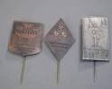 Three Swedish NSAP Political Meeting Stickpins