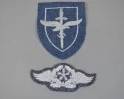 Luftwaffe Signals Insignia Pair