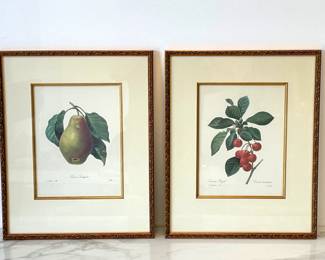 Lot 6859 Vintage Pierre Redoute Cherry Pear Fruit Art Prints