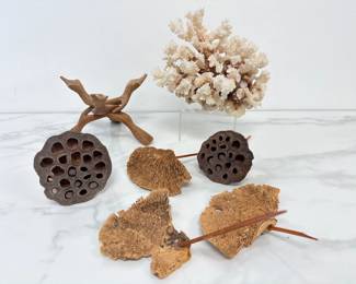 Lot 6823 Natural Curiosities Coral More