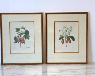 Lot 6860 Vintage Pierre Redoute Strawberry Red Currant Fruit Art Prints
