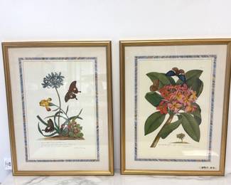Lot 6507 Vintage G. D. Ehret Botanical Art Prints