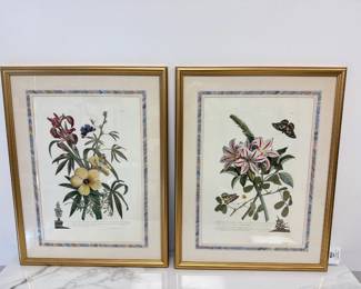 Lot 6508 Vintage G. D. Ehret Botanical Art Prints
