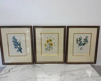 Lot 6928 Vintage Botanical Art Prints
