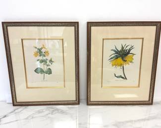 Lot 6510 Vintage Botanical Art Prints