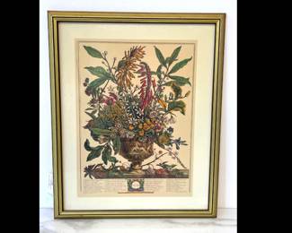 Lot 7017 Robert Furber 12 Months of Flowers January Art Print